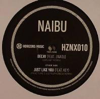 Naibu feat Jinadu - Decay