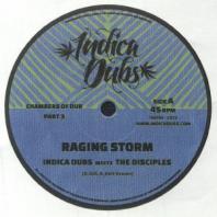 Indica Dubs meets The Discpiles - Raging Storm