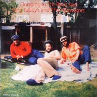 King Tubby / The Agrovators - Dubbing In The Back Yard