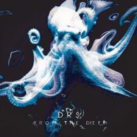 DRS - From The Deep LP DRS - From The Deep LP
