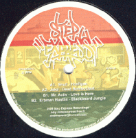 STEPEXPRESS013