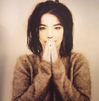 Bjork - Debut