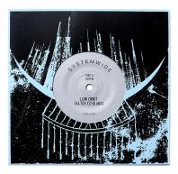 Systemwide - Low Orbit (Alter Echo Mix) / Liberation (Dubkasm Mix)