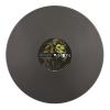 Dubbing Sun & Friends - Reveal the Lion / Babylon A Fall *Pre-Order