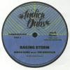 Indica Dubs meets The Discpiles - Raging Storm