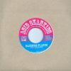 Istari Lasterfahrer - Acid Skanking Vol.1