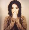 Bjork - Debut